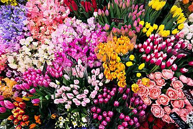 《绝地潜兵2》支持工作室关闭瑞典和挪威3个办事处