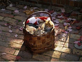 《光与影：33号远征队》早期版本视频曝光 变化巨大